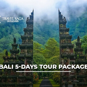 Bali 5 days tour package from India with beaches, temples, and luxury resorts