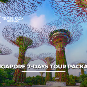 Singapore 7 days tour package from India with Marina Bay skyline, Sentosa island and full sightseeing itinerary
