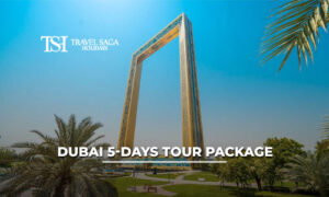 Dubai 5 Days Tour Package from India with Burj Khalifa, Desert Safari and Marina Cruise