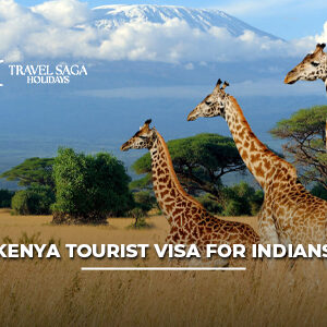 Kenya Tourist Visa for Indians with passport, visa stamp, and Kenya safari background for easy travel application.