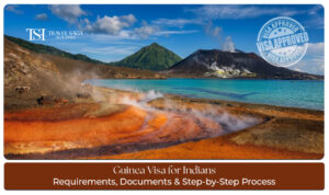 Indian passport alongside Guinea visa application documents, travel itinerary, and supporting paperwork for visa processing.
