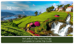 Travelers exploring beaches, tea plantations, temples, and scenic landscapes during a Sri Lanka 7 day tour package