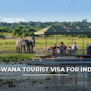 Botswana tourist visa for Indians with passport, visa documents, safari wildlife, and scenic African landscapes.