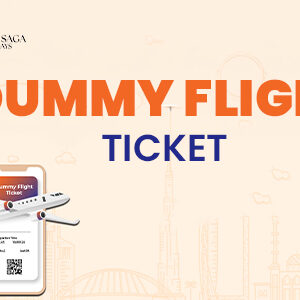 Dummy flight ticket reservation document showing travel itinerary details for visa application and embassy submission purposes.