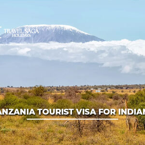 Tanzania tourist visa for Indian passport holders with travel documents and safari background representing international travel to Tanzania