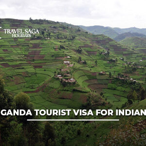 Indian traveler holding Uganda tourist visa documents and passport while planning a wildlife and safari trip to Uganda