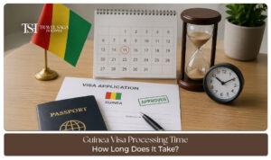 Traveler checking Guinea visa processing time, application status, and required documents before departure.