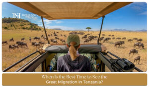 Best time to see the Great Migration in Tanzania with wildebeest herds crossing the Serengeti plains during peak safari season.