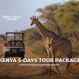 Kenya 5 Days Tour Package featuring thrilling wildlife safaris, scenic landscapes, luxury stays, and unforgettable African adventure experiences.