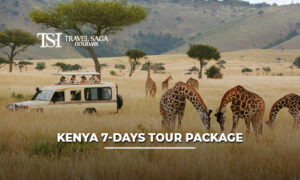 Kenya 7 Days Tour Package showcasing Maasai Mara safaris, Big Five wildlife sightings, luxury lodges, and breathtaking African landscapes.