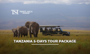 Tanzania 5 days tour package from India featuring wildlife safari adventures, scenic landscapes, and unforgettable African travel experiences.