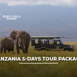 Tanzania 5 days tour package from India featuring wildlife safari adventures, scenic landscapes, and unforgettable African travel experiences.