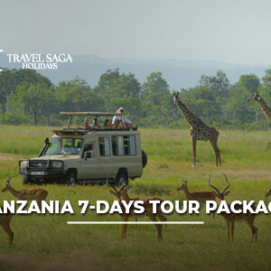 Tanzania 7 Days Tour Package featuring exciting wildlife safaris, scenic national parks, and unforgettable African travel experiences.