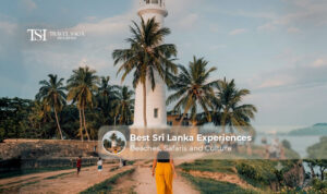 Travellers enjoying the best cultural, natural, and scenic experiences in Sri Lanka.