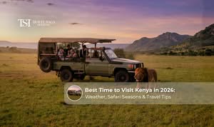 Tourists enjoying a wildlife safari in Kenya during the best travel season