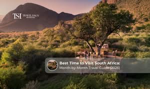 Tourists enjoying a wildlife safari in South Africa during the best travel season