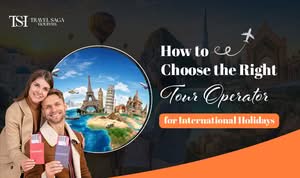 Traveller comparing tour operator packages and reviews before booking a holiday