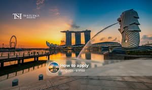 Traveller applying for a Singapore visa online with passport and required documents
