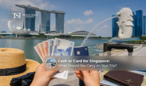 Cash or card payment options for travellers in Singapore.