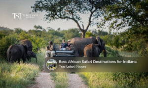 Indian travellers exploring wildlife safari destinations across Africa.