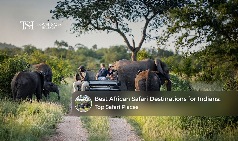 Indian travellers exploring wildlife safari destinations across Africa.