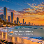 Golden sunset over Sri Lanka’s coastline with palm trees and scenic ocean views.