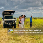 Tourists exploring Tanzania's wildlife reserves on a guided safari adventure.